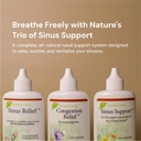 natures-rite-sinus-trilogyTM-3-bottle-pa-4.jpg