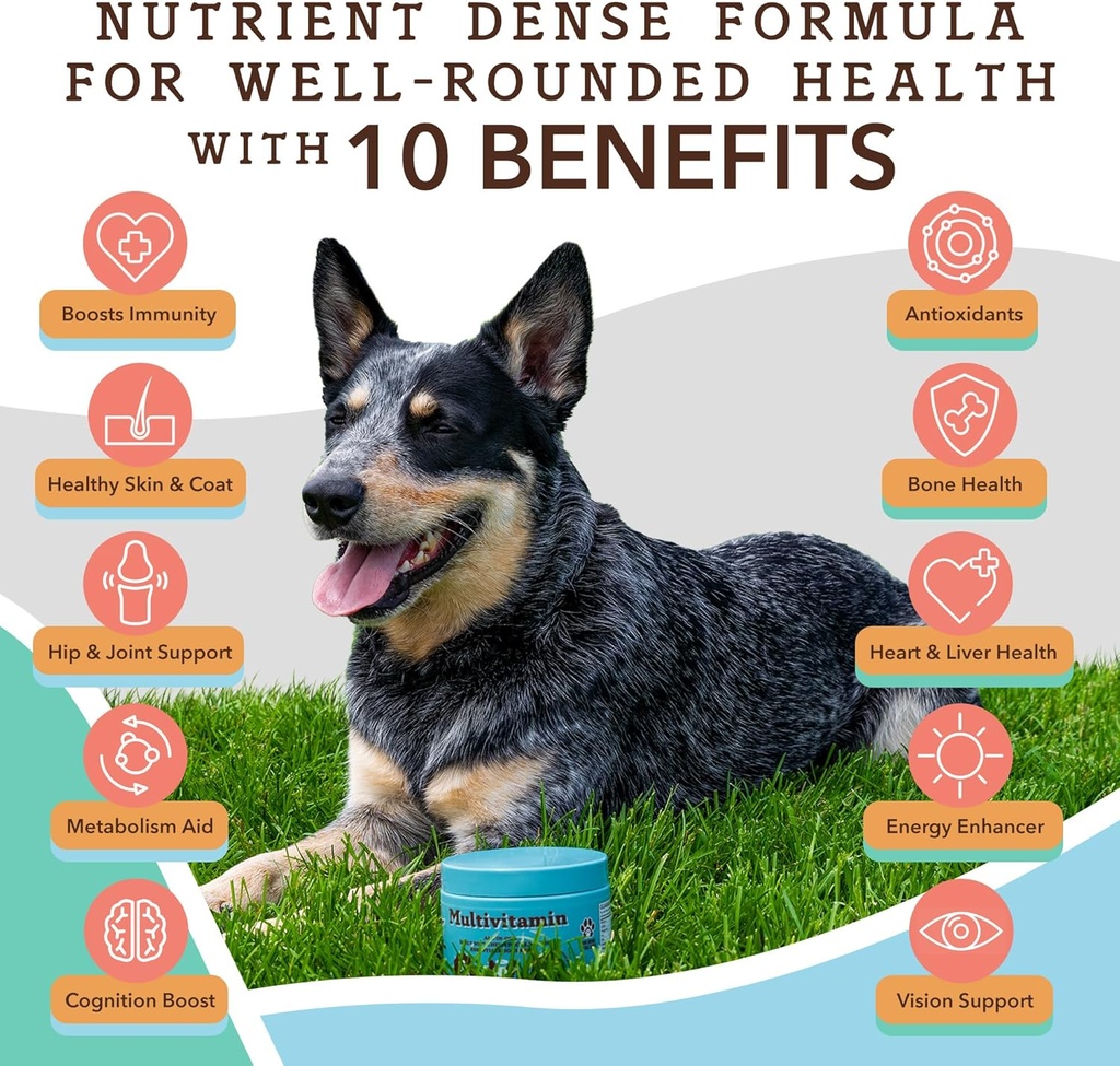 natural-dog-company-multivitamin-chews-c-4.jpg