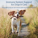 rx-vitamins-curcuwin---curcumin-for-dogs-2.jpg