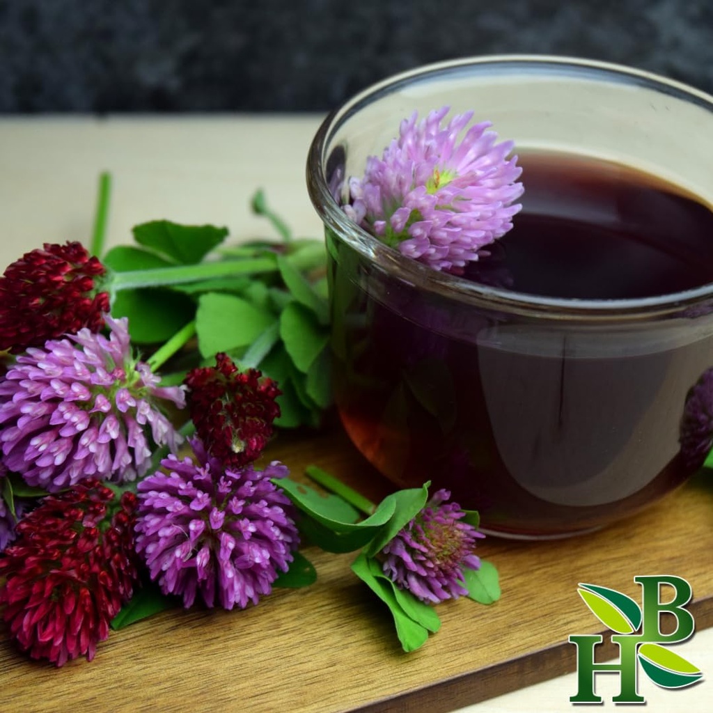 herb-to-body-red-clover-herb-cut-sifted--3.jpg