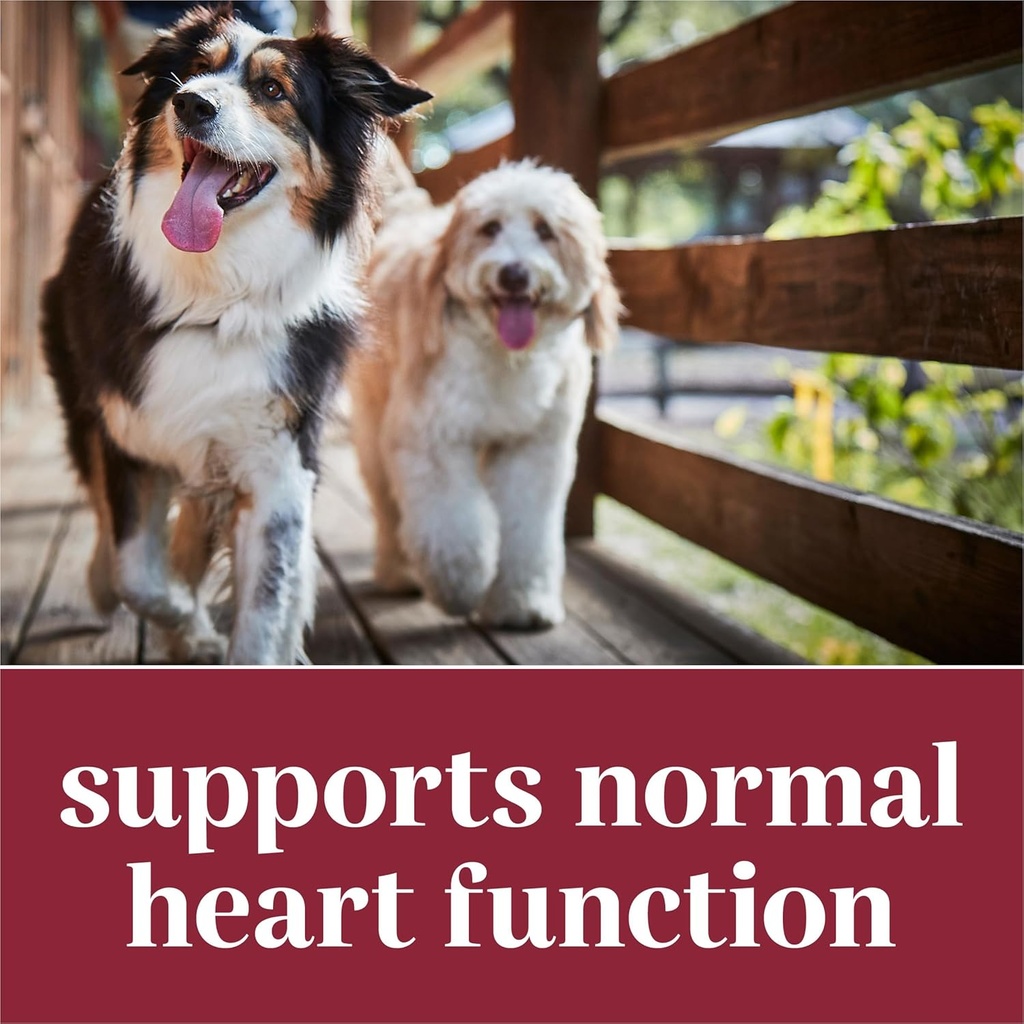 everroot-dog-heart-supplements-heart-hea-3.jpg