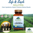 pure-mountain-botanicals-cinnamon-capsul-4.jpg