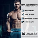 nootropics-depot-beta-ecdysterone20-hydr-5.jpg