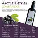 2-x-aronia-treasure-100-aronia-chokeberr-5.jpg