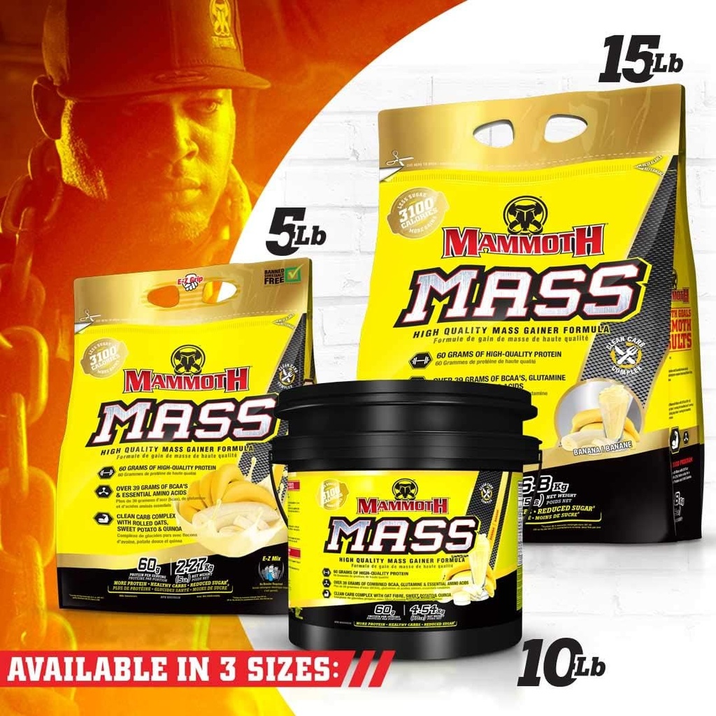 interactive-nutrition-mammoth-mass-suppl-5.jpg