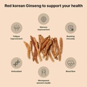 k-herb-premium-korean-red-ginseng-sticks-5.jpg