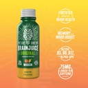 brainjuice-brain-support-shot-gluten-fre-2.jpg