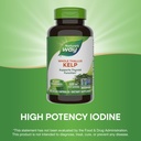 natures-way-kelp-supports-thyroid-functi-5.jpg