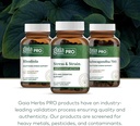 gaia-herbs-pro-stress-strain---eye-healt-6.jpg