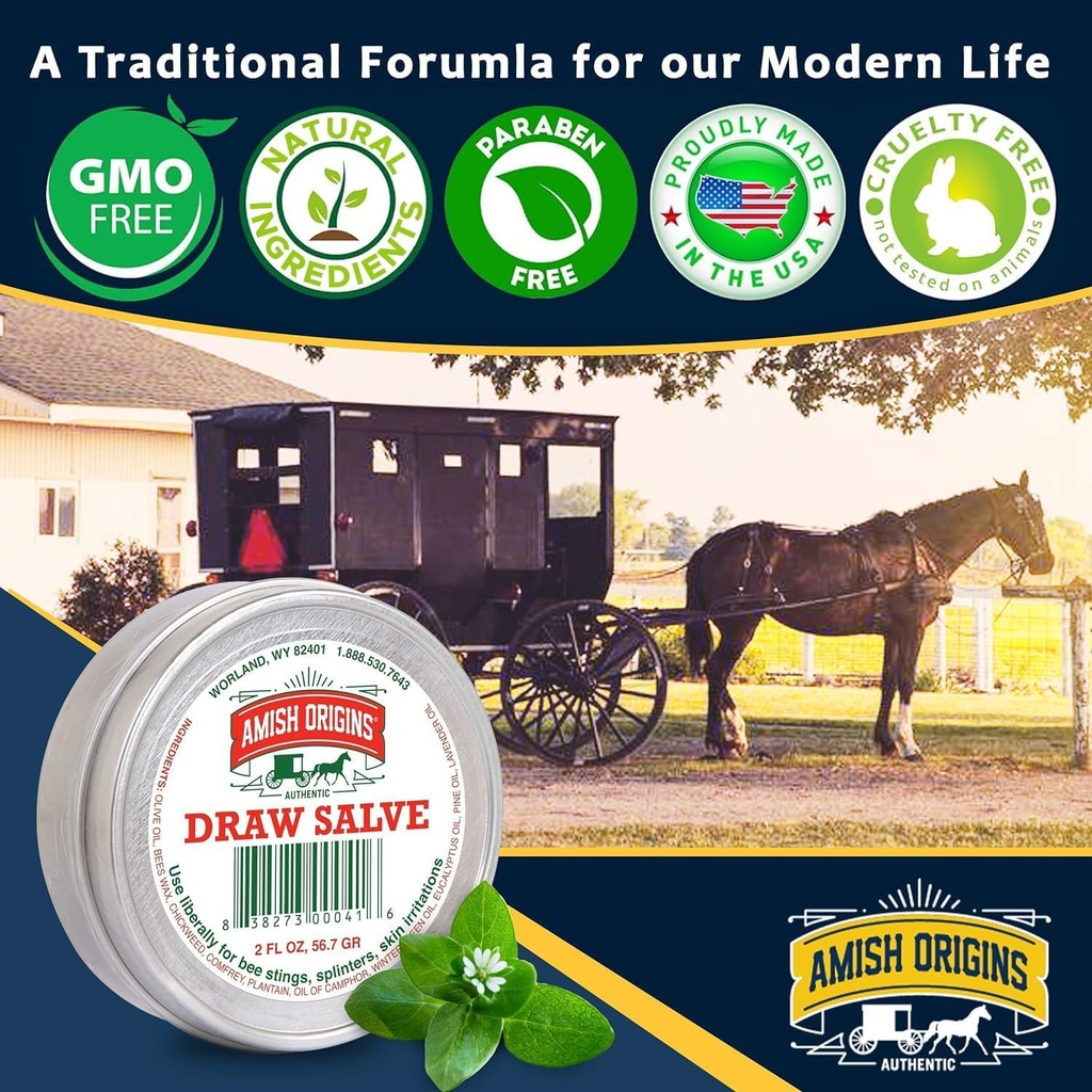 amish-origins-drawing-salve-ointment-4-o-5.jpg