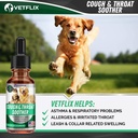 kennel-cough-treatment-for-dogs-cats---m-2.jpg
