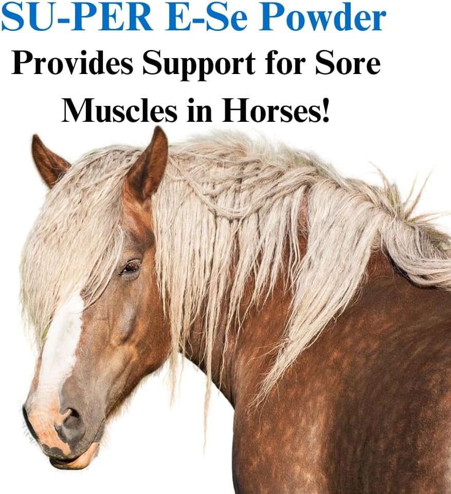 su-per-e-se-horses-antioxidant-supplemen-2.jpg