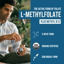organic-l-methylfolate-75-mg-plus-methyl-2.jpg