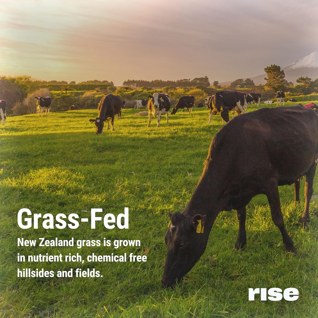 rise-grass-fed-whey-protein-powder---sam-6.jpg