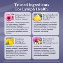 lymph-md---lymphatic-drainage-supplement-4.jpg