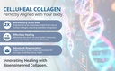 cellufil-collagen-particles-for-advanced-6.jpg