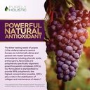 purely-holistic-grape-seed-extract-20000-4.jpg
