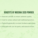 mucuna-seed-powder-200-gm-kapikacchu-kau-6.jpg