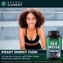 sea-moss-capsules---irish-sea-moss-advan-4.jpg