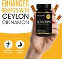 berberine-with-ceylon-cinnamon-1200mg-60-4.jpg