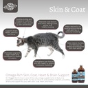 dr-maggie-skin-and-coat-omega-3-suppleme-5.jpg