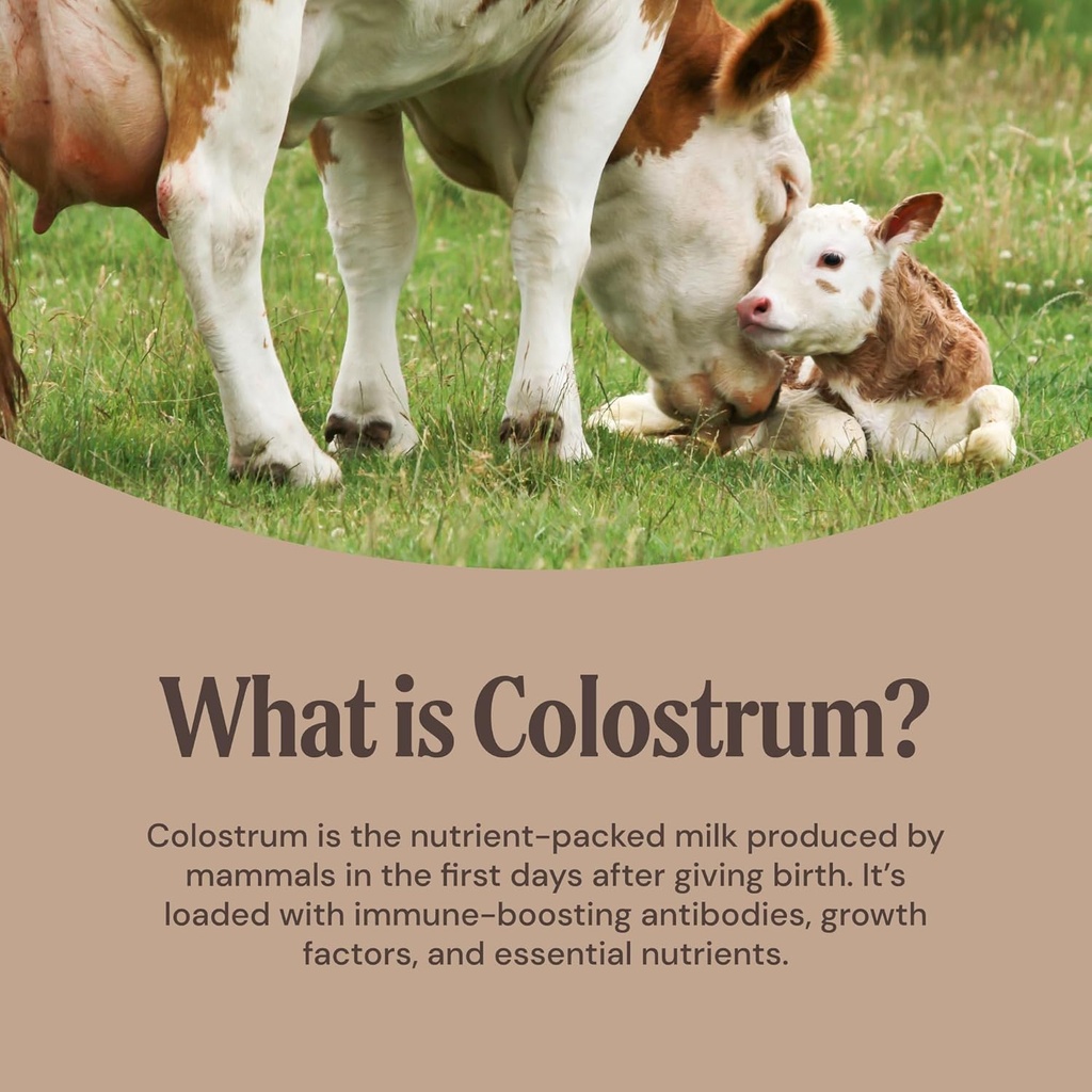 grass-fed-bovine-colostrum-supplement-wi-4.jpg