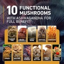 mushroom-gummies-10-blend-120-pcs---lion-5.jpg
