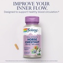 solaray-horse-chestnut-extract-400-mg----3.jpg