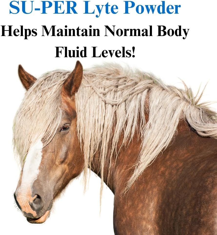 su-per-lyte-horse-electrolyte-supplement-2.jpg