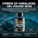 shilajit-capsules-for-men---50-fulvic-ac-2.jpg