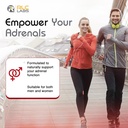 rlc-a-drenal-adrenal-support-for-stress--6.jpg