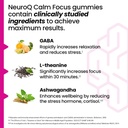 neuroq-calm-focus-gummies---stress-relie-3.jpg