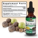 natures-answer-black-walnut-alcohol-free-3.jpg