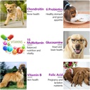 15-in-1-dog-multivitamin-supplements-wit-5.jpg