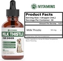 milk-thistle-for-dogs-supports-liver-and-2.jpg