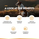 naturvet-all-in-one-dog-supplement---for-2.jpg