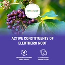 full-spectrum-eleuthero-root-capsules----5.jpg