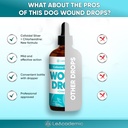 dog-wound-care-in-drops-dog-cone-may-be--6.jpg