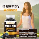 1-pack-sugar-free-mullein-gummies---lung-4.jpg
