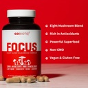 gobiotix-focus-lions-mane-supplement---m-3.jpg