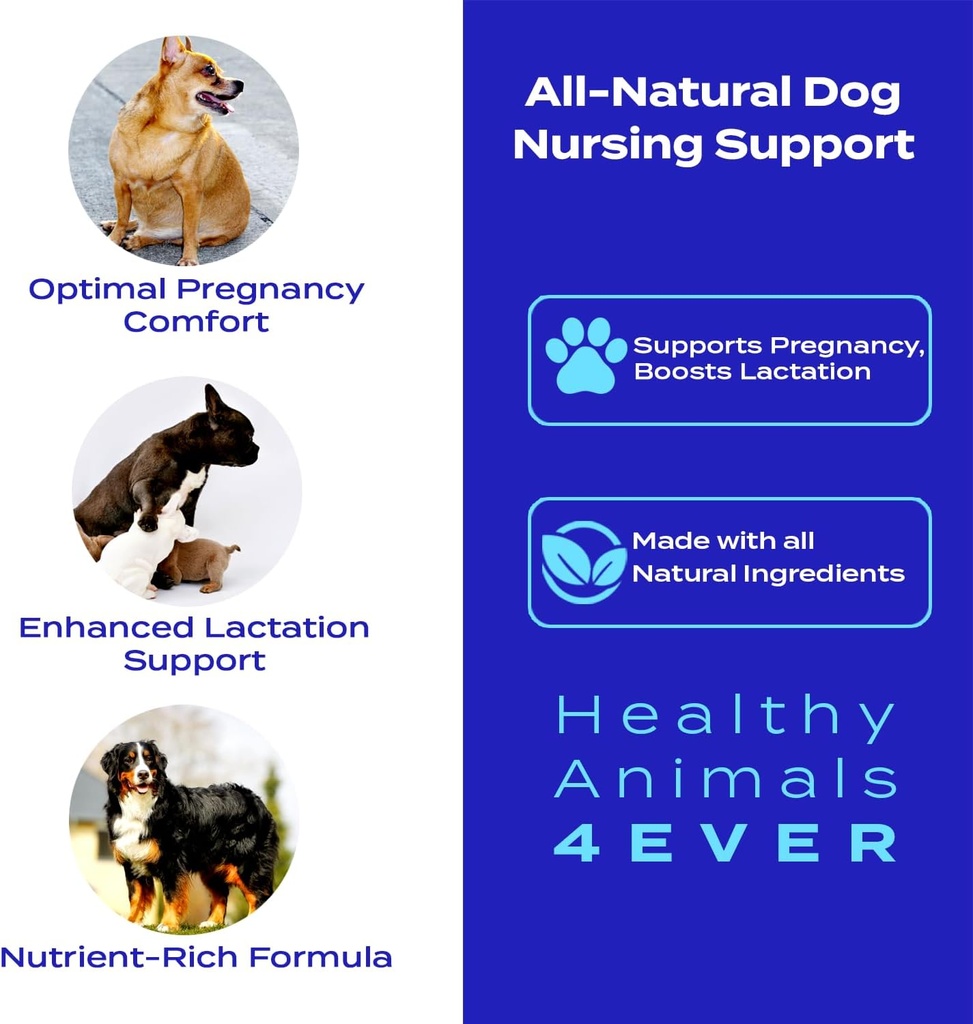 ha4e---canine-pregnancy-nursing-support--2.jpg