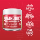 brainjuice-nootropics-brain-support-supp-2.jpg