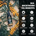 organic-sea-buckthorn-oil-50-day-supply--6.jpg
