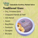 all-purpose-calendula-comfrey-herbal-sal-4.jpg