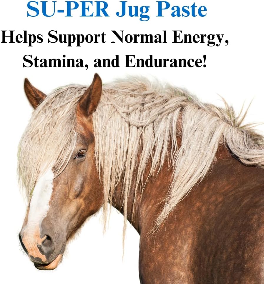 su-per-jug-paste-for-performance-horses--2.jpg