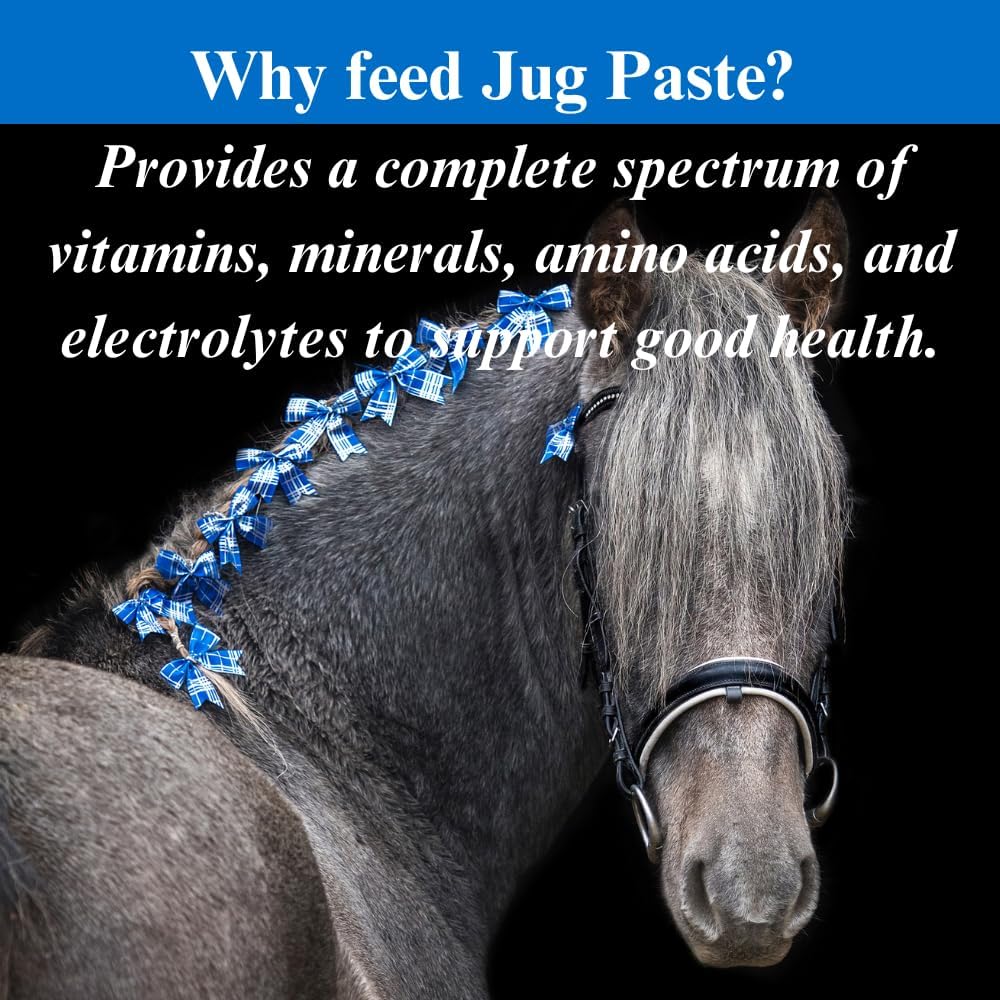 su-per-jug-paste-for-performance-horses--3.jpg