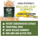mullein-gummies-2000mg-for-lung-support--3.jpg