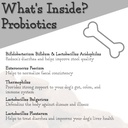 primal-nutrition-probiotics-for-dogs---d-3.jpg