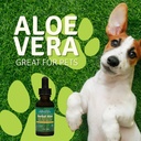 aloe-life---herbal-aloe-ear-wash-plus-pr-6.jpg