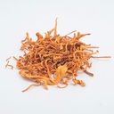 usa-grown-certified-organic-dried-cordyc-3.jpg